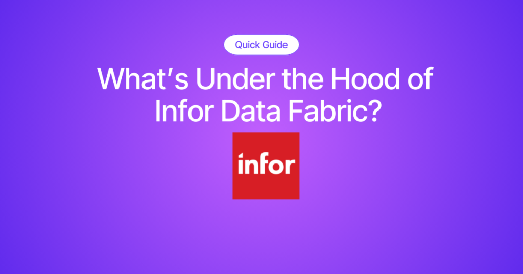 Infor Data Fabric: Peeling Back the Curtain